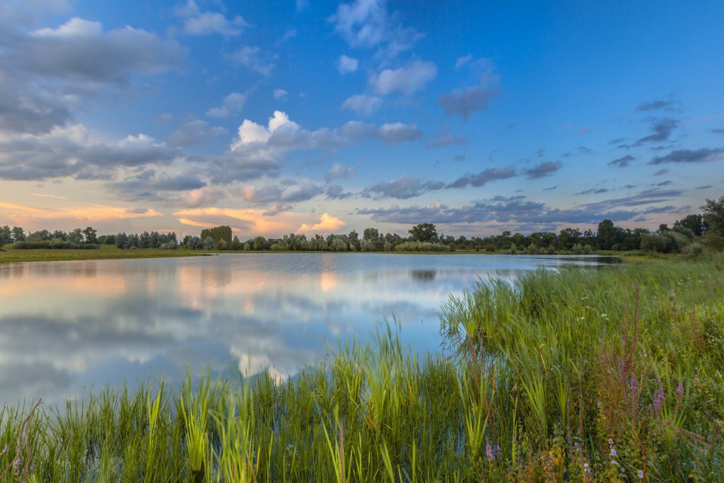 River forelands Blauwe Kamer