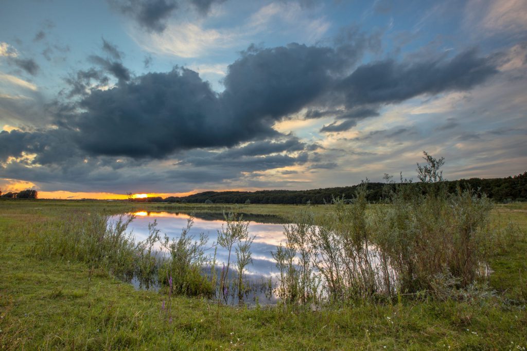 Dark river landscape