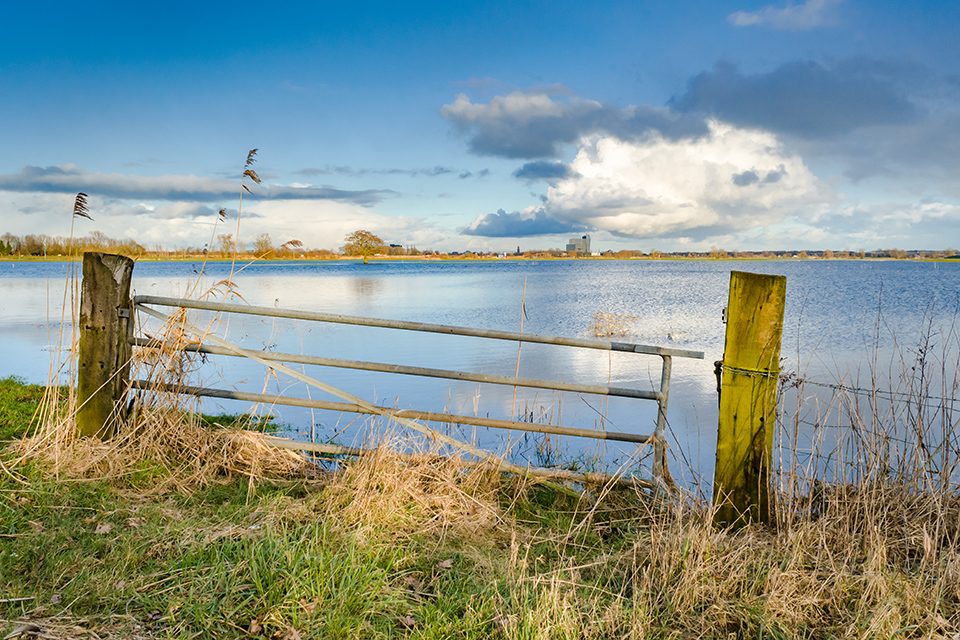 Rising water level in the floodplains of the river IJssel, with cloudy sky.
