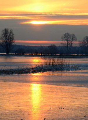 Wandelvakantie-ijsselvallei
