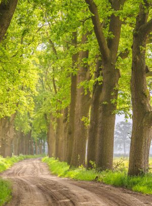 overijssel