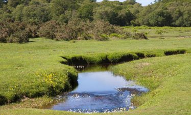 wandelvakantie-baarlo