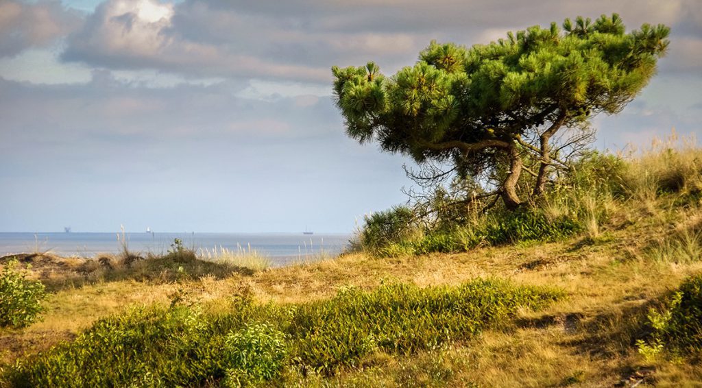 23158-dag-1-en-2_vlieland_wandelvakantie_fenzopreis