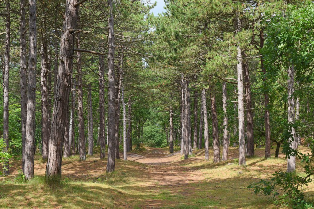 23163-dag-1-en-2_vlieland_terschelling_fenzopreis_wandelvakantie