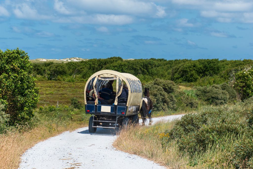 23169-dag-3-en-4_terschelling_wandelvakantie_waddeneilanden_fenzopreis