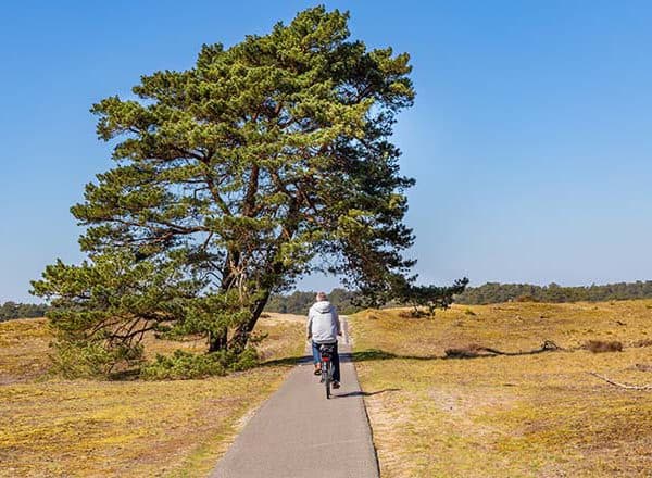 fietsvakantie veluwe en rijn