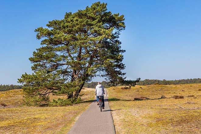 fietsvakantie veluwe en rijn