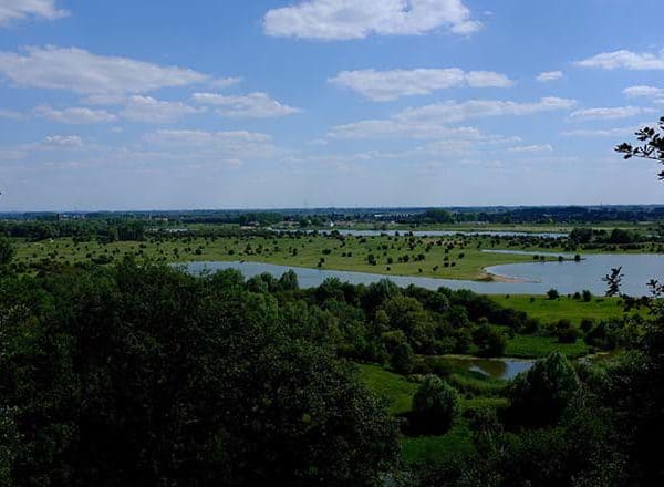 fietsvakantie veluwe en rijn