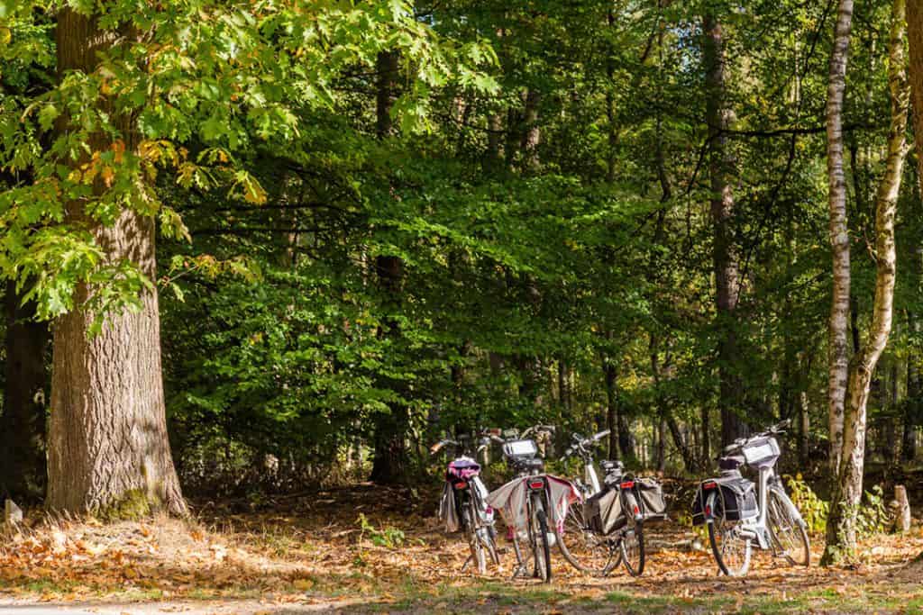 fietsvakantie veluwe en rijn