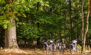 fietsvakantie veluwe en rijn
