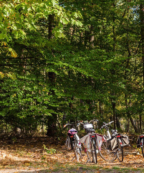 fietsvakantie veluwe en rijn