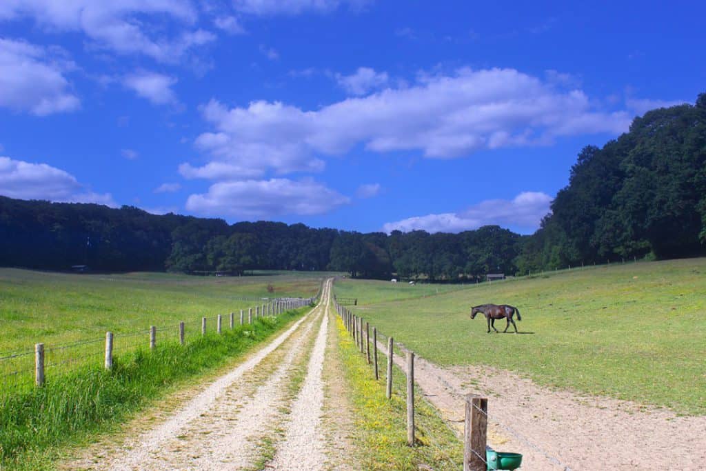 fietsvakantie veluwe en rijn