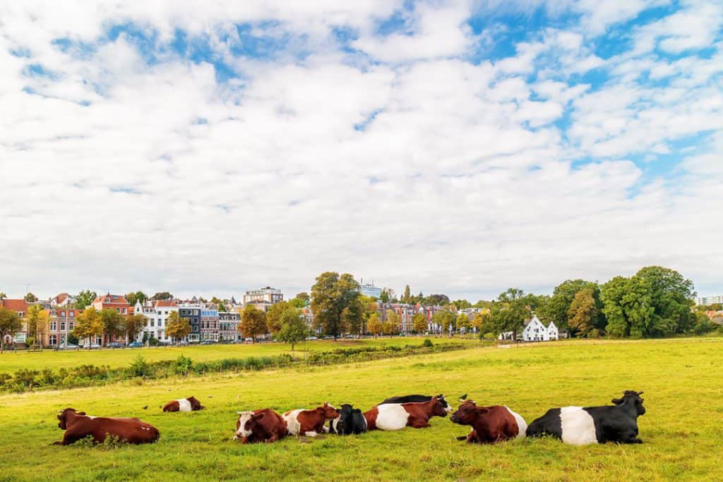 fietsvakantie veluwe en rijn