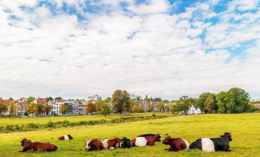 fietsvakantie veluwe en rijn