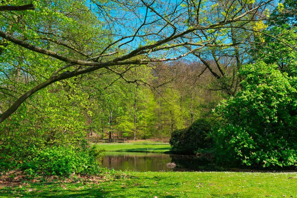 fietsvakantie veluwe en rijn