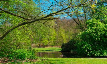 fietsvakantie veluwe en rijn