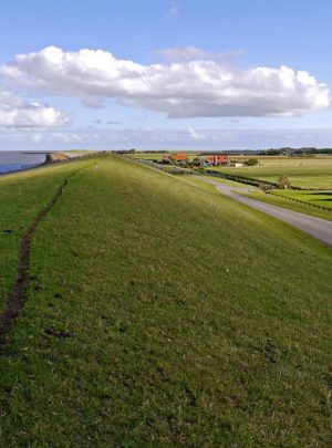 friesland