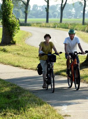 friesland