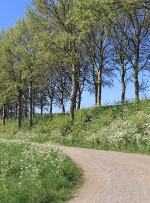 zeeland