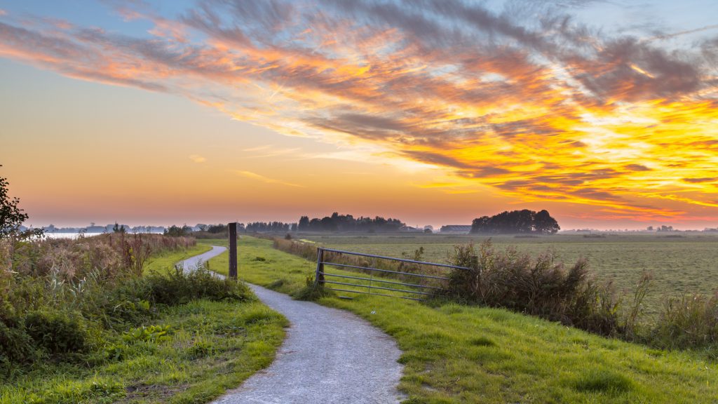 Friesland_Fietsreizen