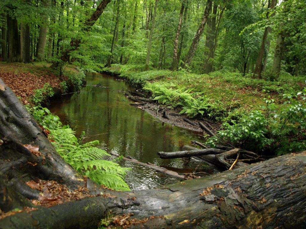 harderwijk fietsreis-beek