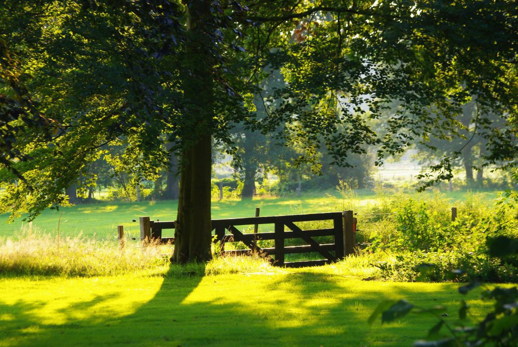 harderwijk fietsreis-weiland