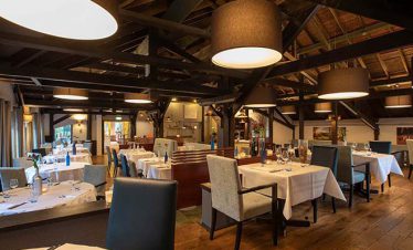 fietsvakantie veluwe en rijn