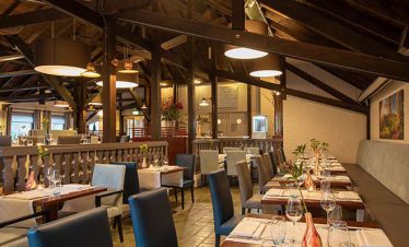 fietsvakantie veluwe en rijn