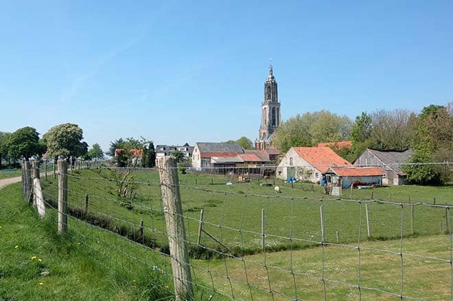 fietsvakantie veluwe en rijn