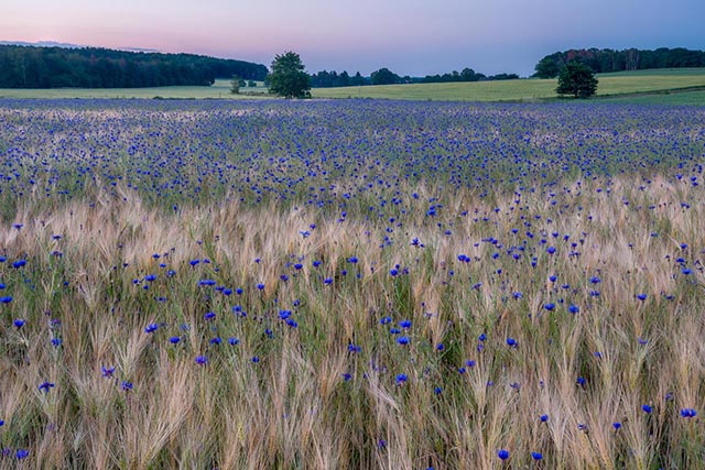 Montferland_FENZopreis