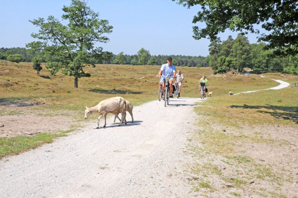 fietsvakantie-drenthe-culinair-fietsreizen