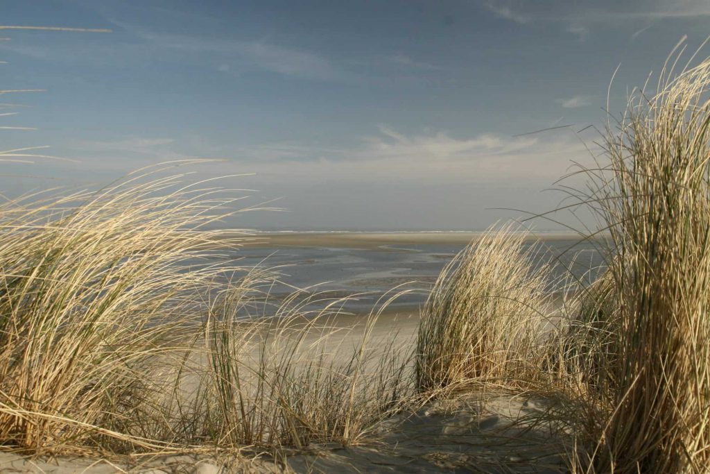 wadden