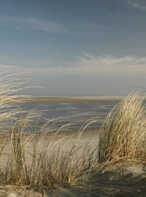 wadden