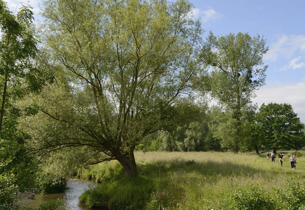 limburg