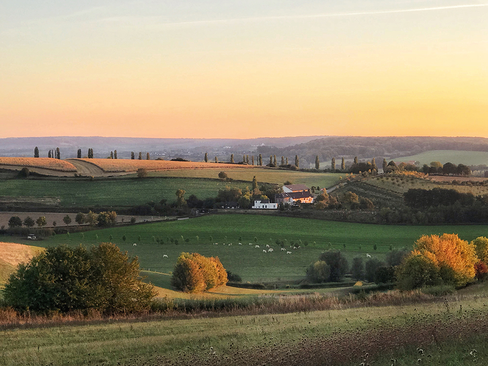 limburg