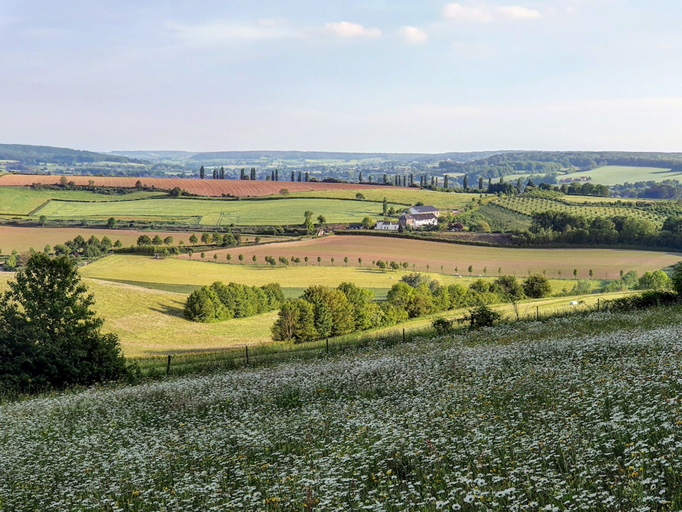 limburg