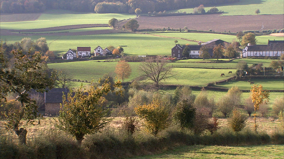 limburg