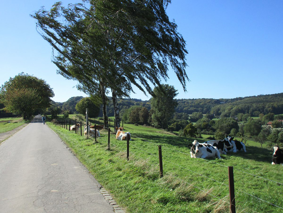 geuldal_Zuid-Limburg_wandelvakantie_Fenzopreis_11