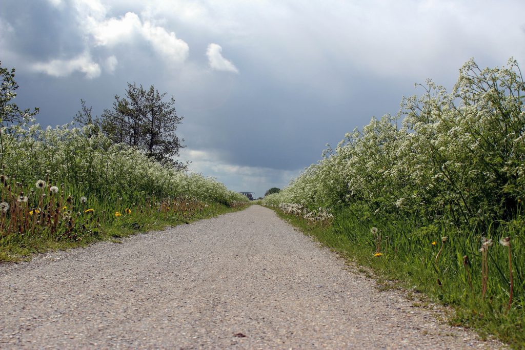 fietsreis-ijsselmeer