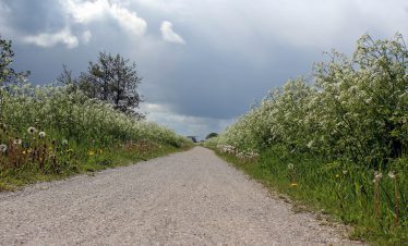 fietsreis-ijsselmeer