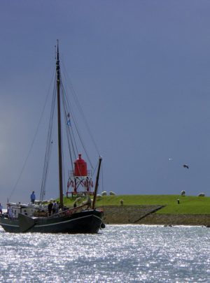 fietsreis-ijsselmeer