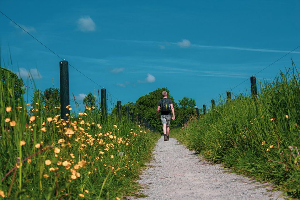 Pieterpad-1-wandelvakantie-fenzopreis-05