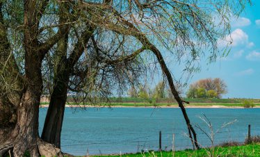 gelderland - rijn