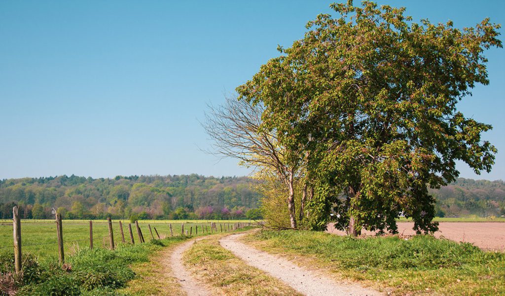 gelderland