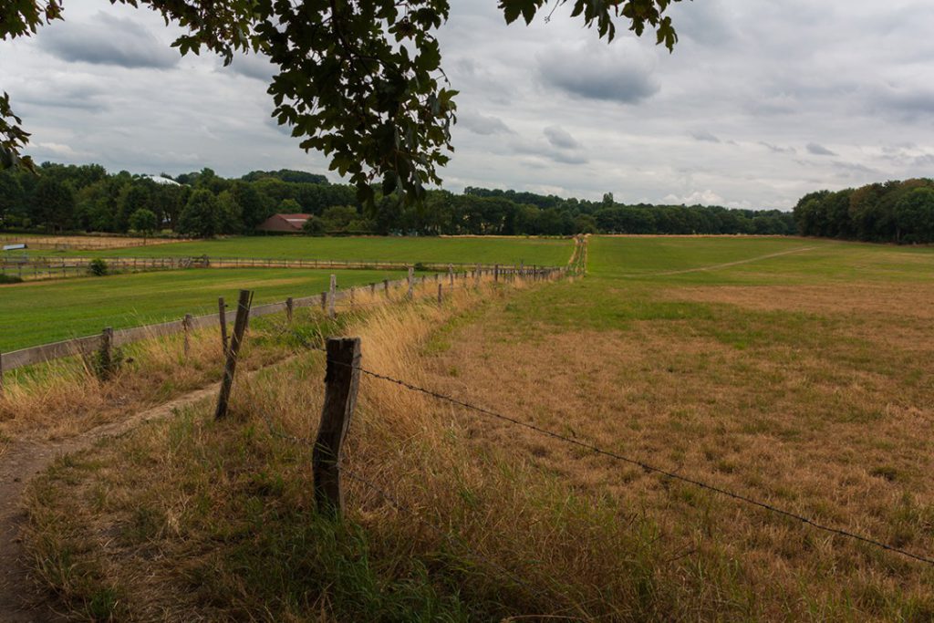 gelderland - maas en waal