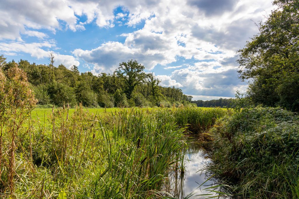 Pieterpad_5_wandelvakantie_fenzopreis_03