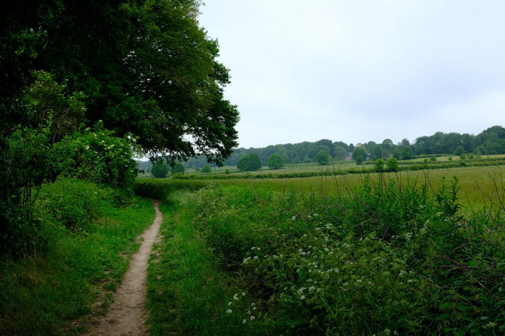 Pieterpad_5_wandelvakantie_fenzopreis_04