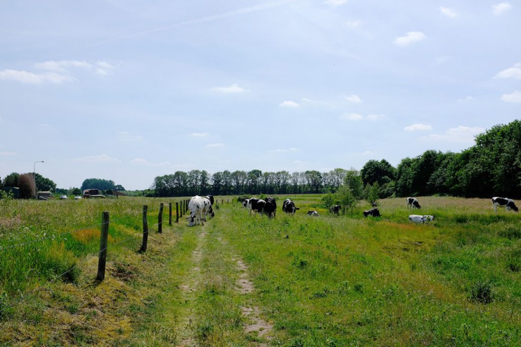 Pieterpad_5_wandelvakantie_fenzopreis_05