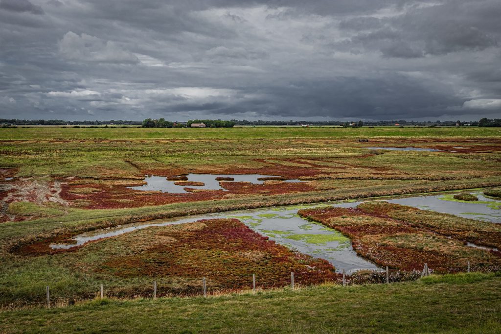 Zeeland_Oosterschelde_deltawerken_fietsvakantie_02