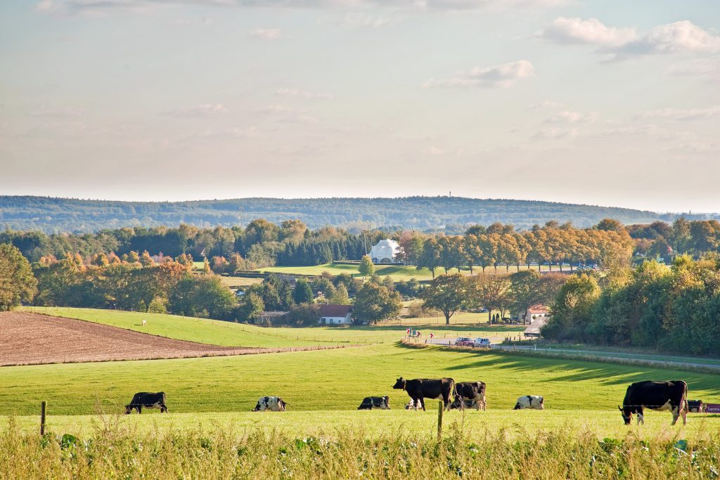 gelderland - maas en waal